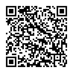 Código QR 5